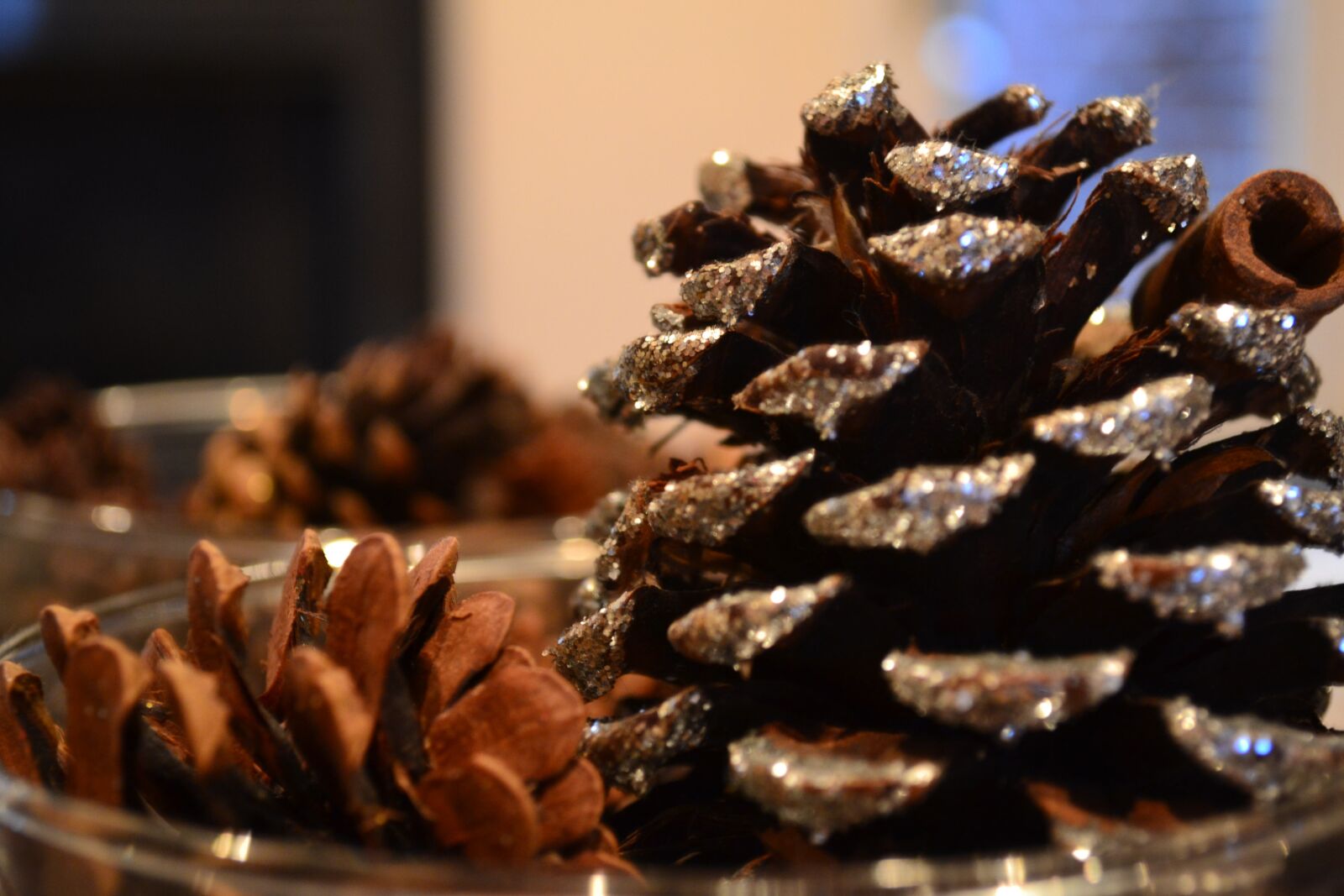 Nikon D3100 sample photo. Pine cones, cinnamon, christmas photography