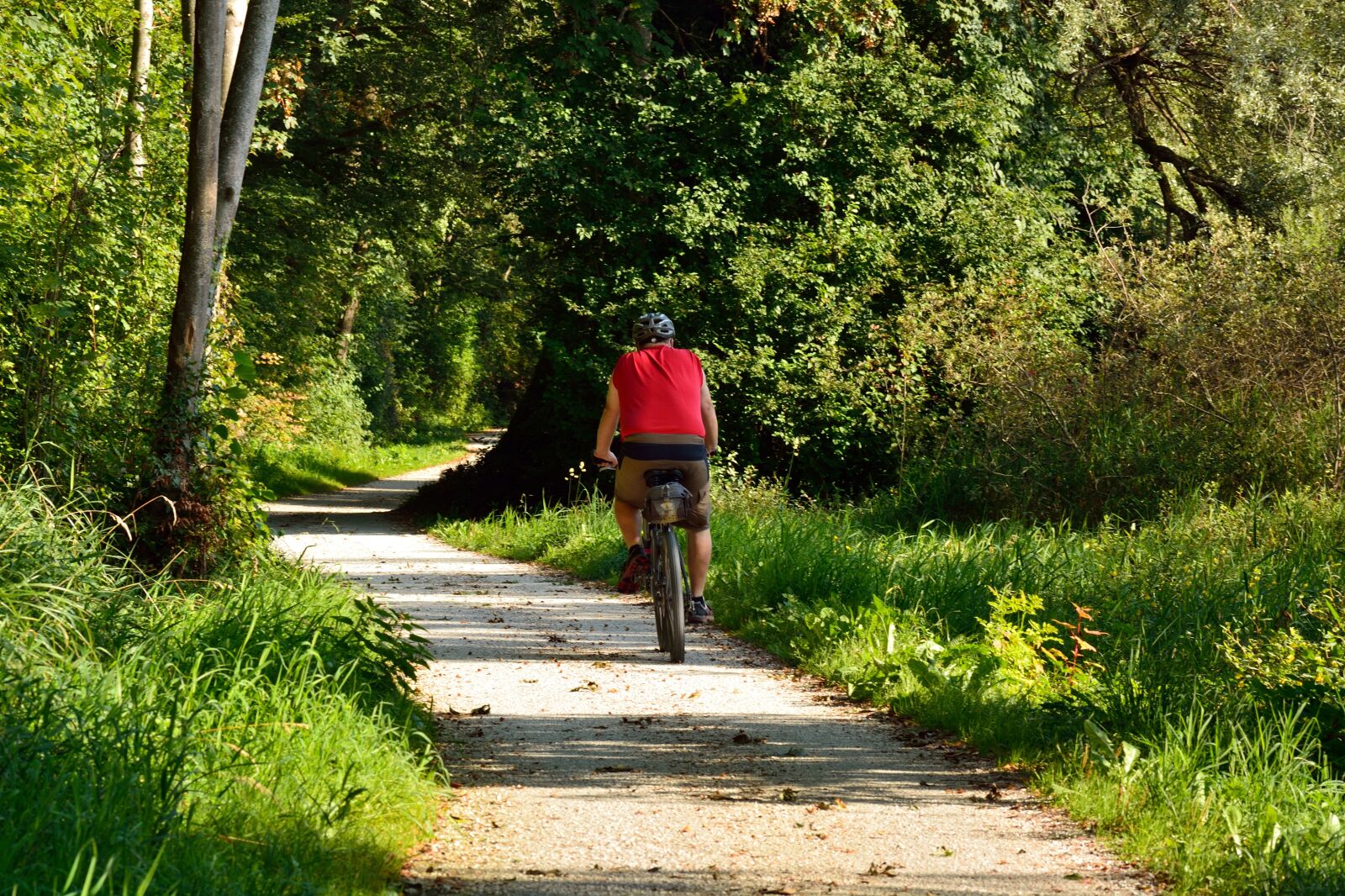 Nikon D7100 sample photo. Cycling, cyclists, forest photography