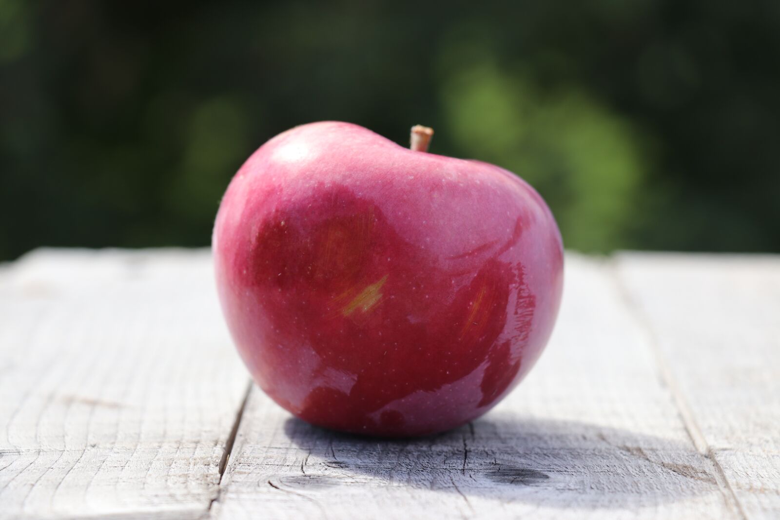 Canon EOS 800D (EOS Rebel T7i / EOS Kiss X9i) sample photo. Apple, isolation, red photography