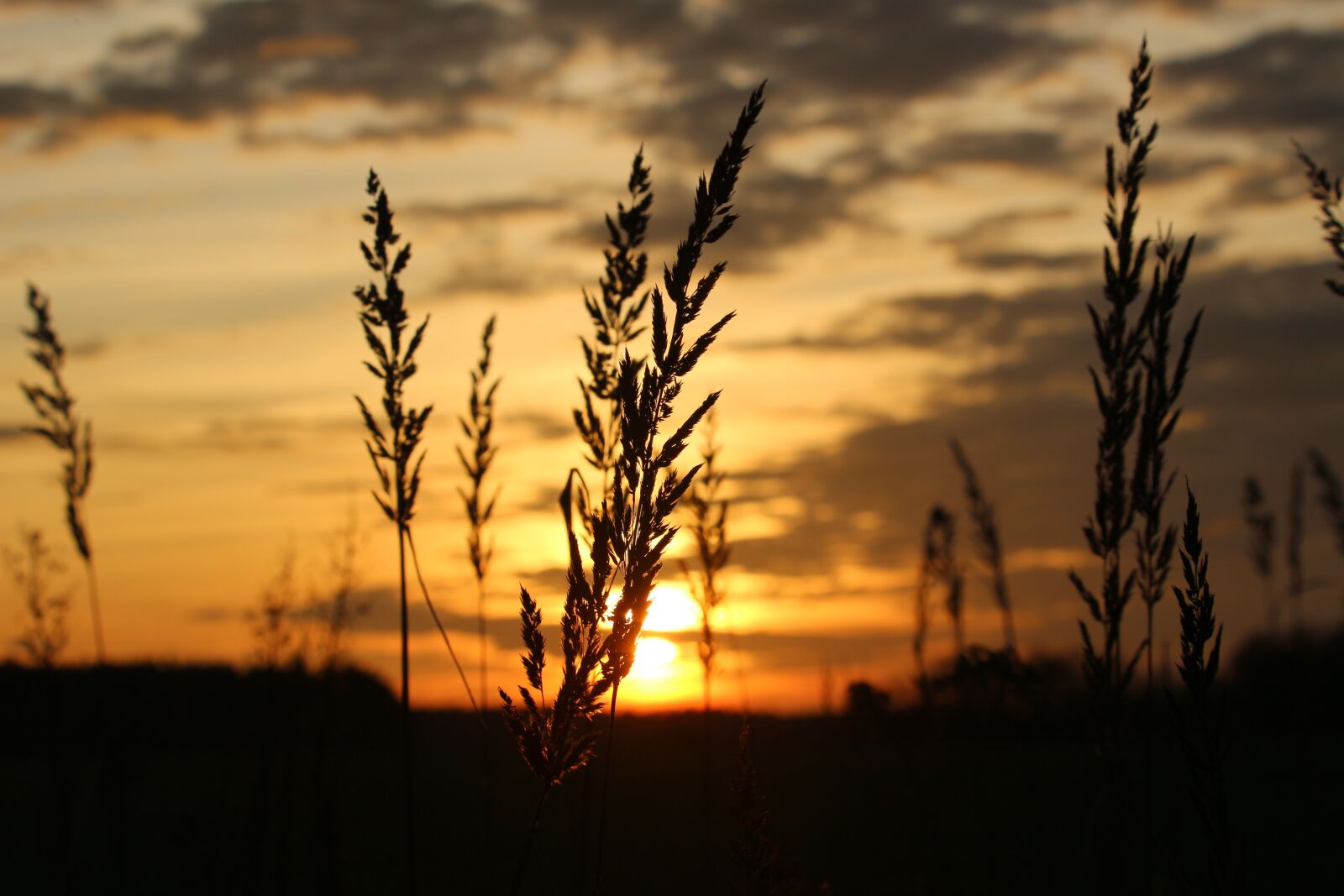 Canon EOS 100D (EOS Rebel SL1 / EOS Kiss X7) sample photo. Sun, sunset, evening sky photography