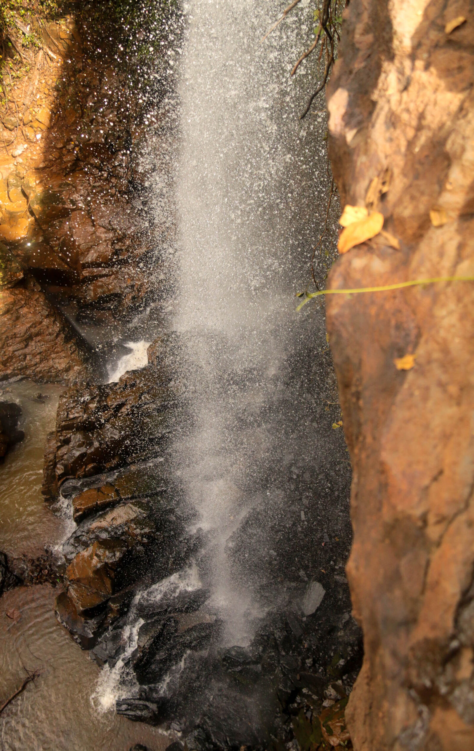 Canon EF-S 18-200mm F3.5-5.6 IS sample photo. Forest, nature, waterfall photography