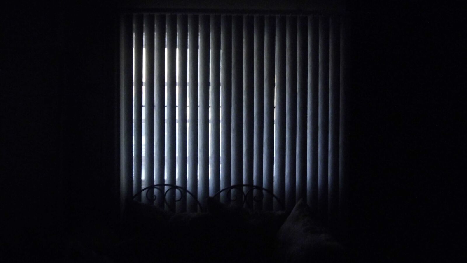 Fujifilm FinePix Z110 sample photo