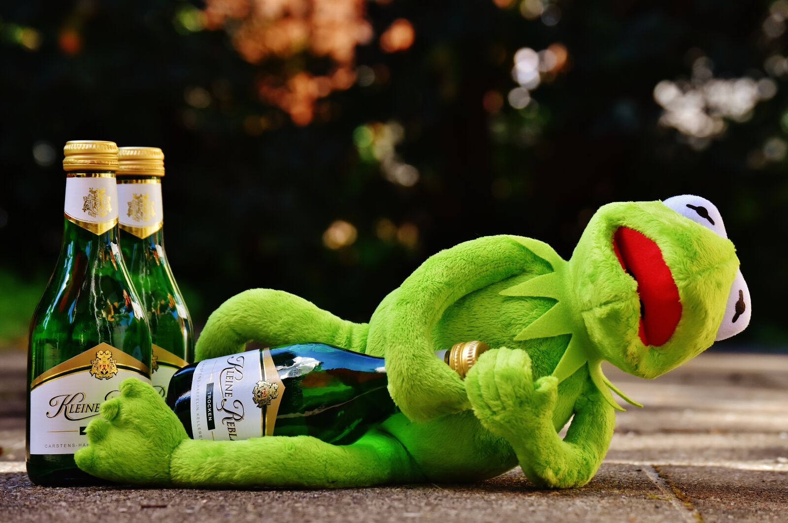 Nikon D7200 sample photo. Kermit, frog, wine photography