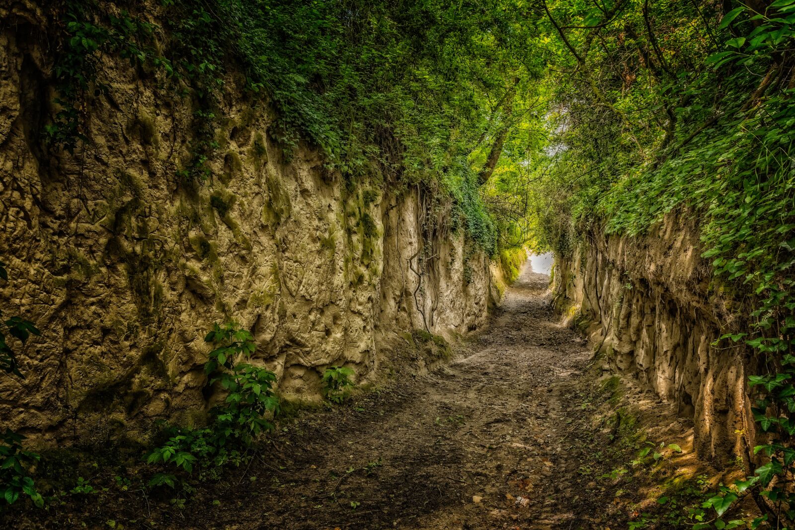 Nikon D3300 sample photo. Away, hanson, kaiserstuhl photography