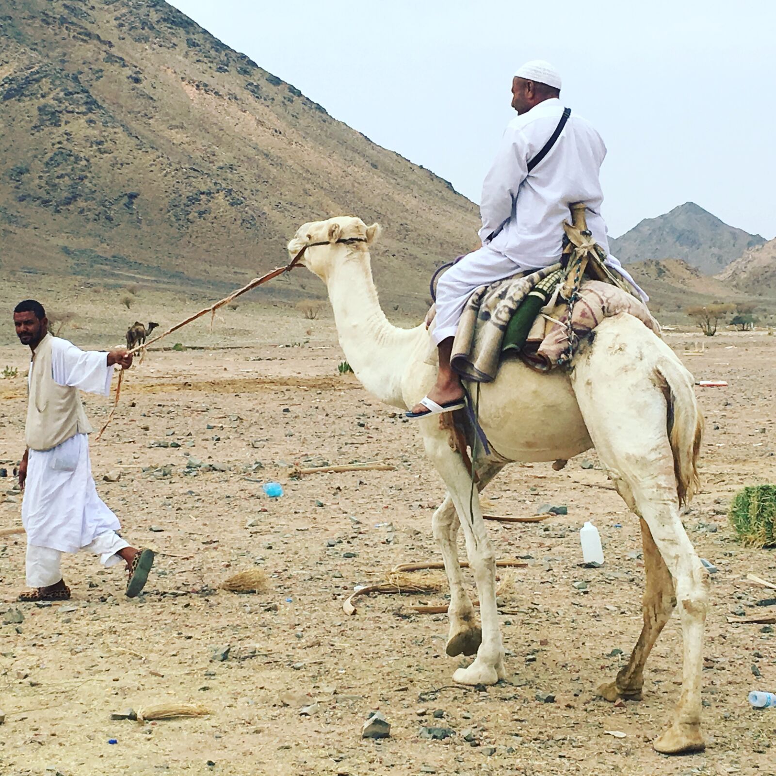 Apple iPhone 6s Plus sample photo. Camel, herder, mountain photography
