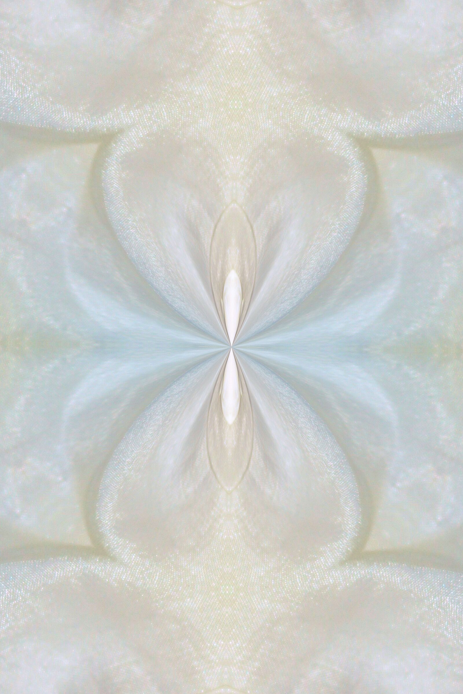 Canon EOS 600D (Rebel EOS T3i / EOS Kiss X5) sample photo. Ornament, background, abstract photography