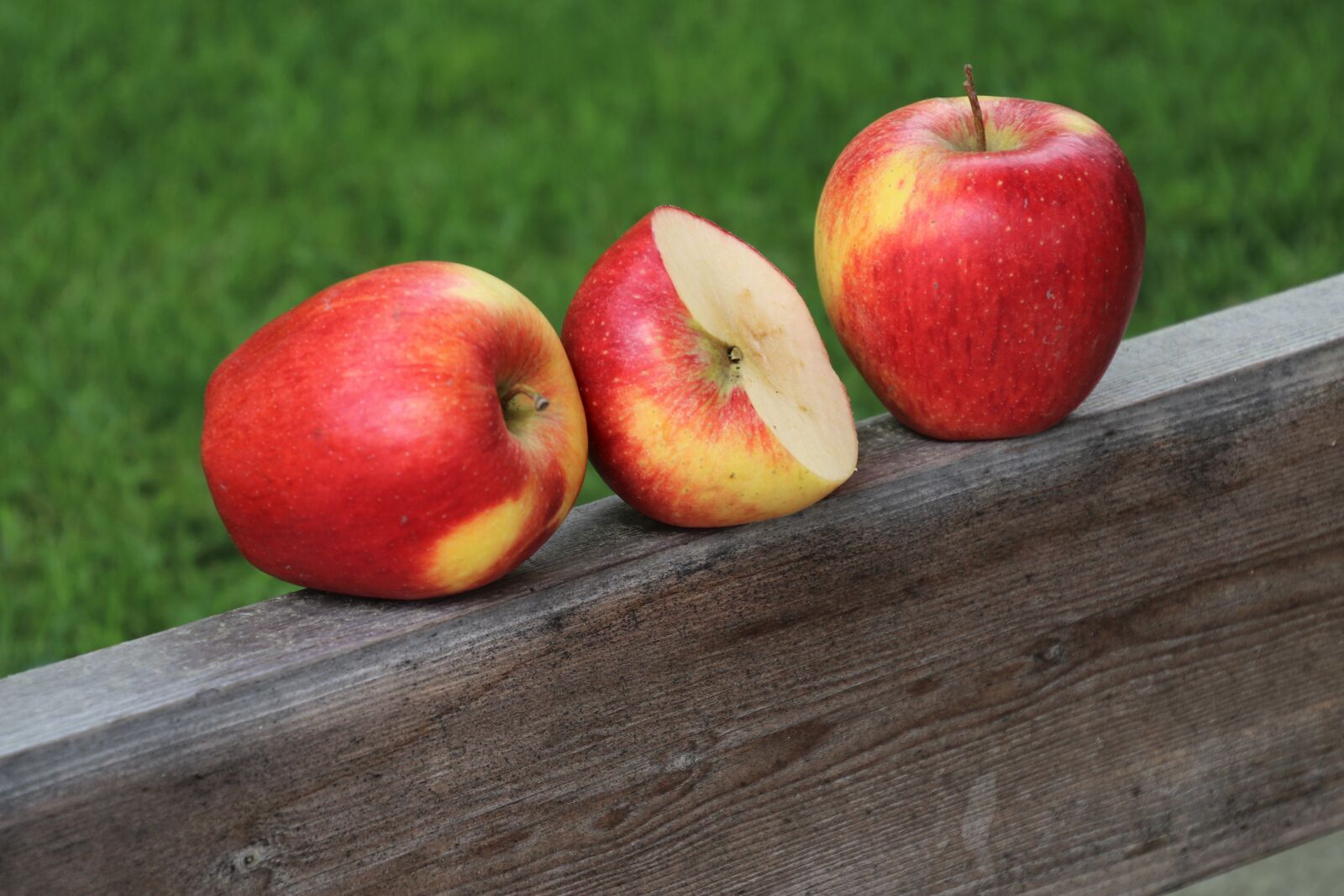 Canon EOS 80D sample photo. Fruit, garden, apples photography