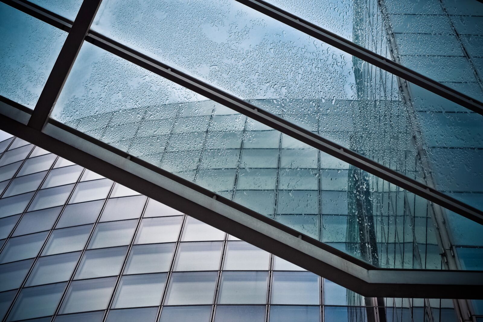 Olympus OM-D E-M10 sample photo. Architecture, skyscraper, glass facades photography