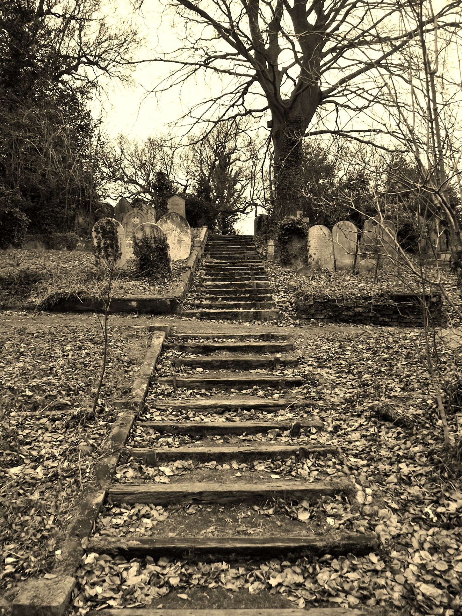 Fujifilm FinePix S1730 sample photo. Cemetery, steps, graveyard photography