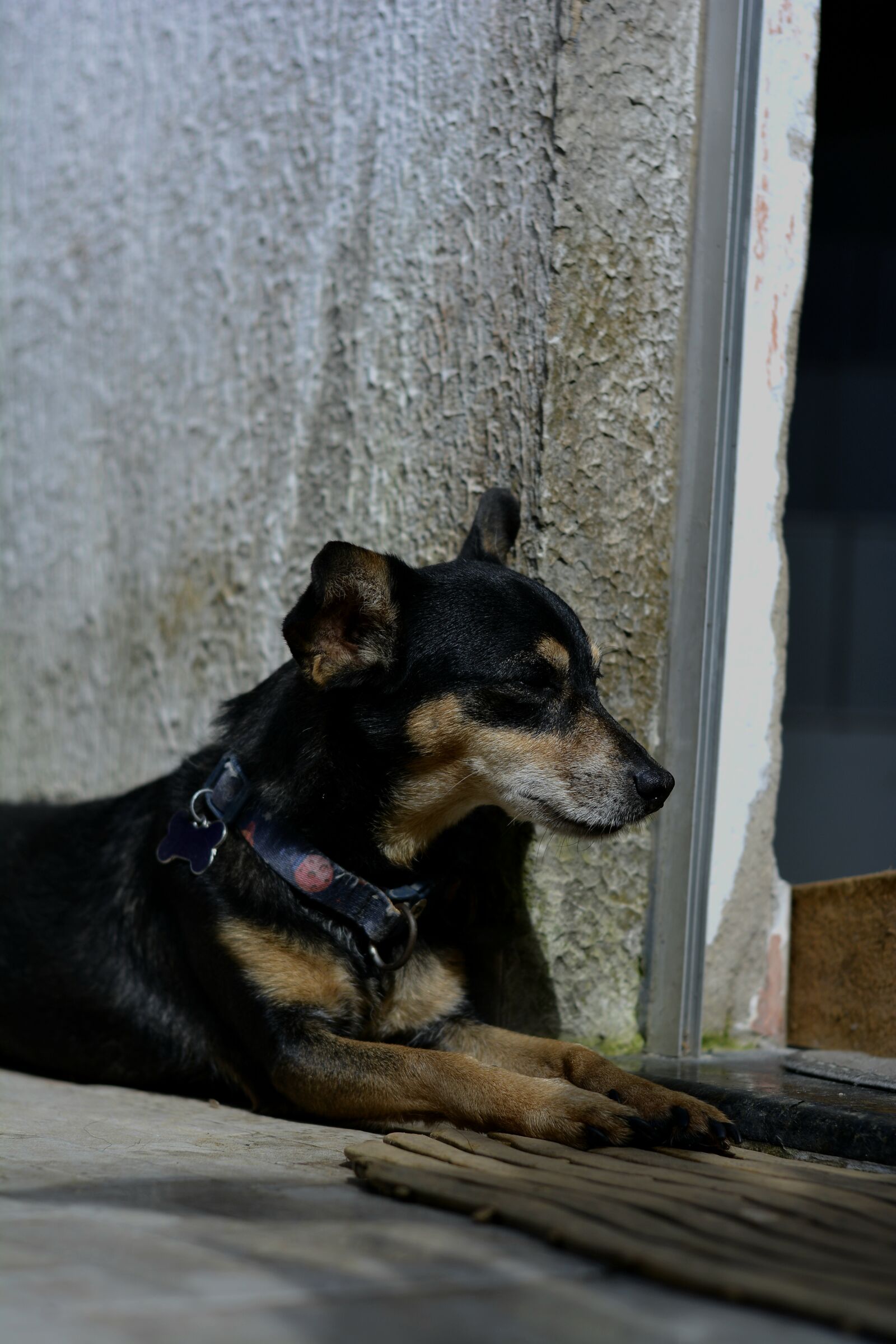 Nikon D5200 sample photo