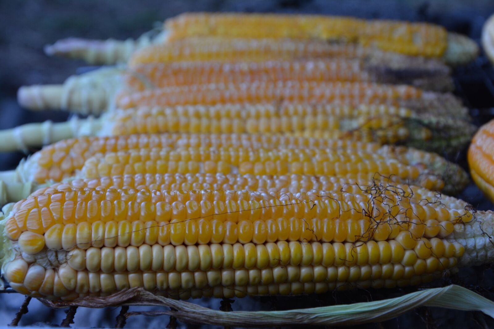 Nikon D7100 sample photo. Egypt, lazut, grill photography