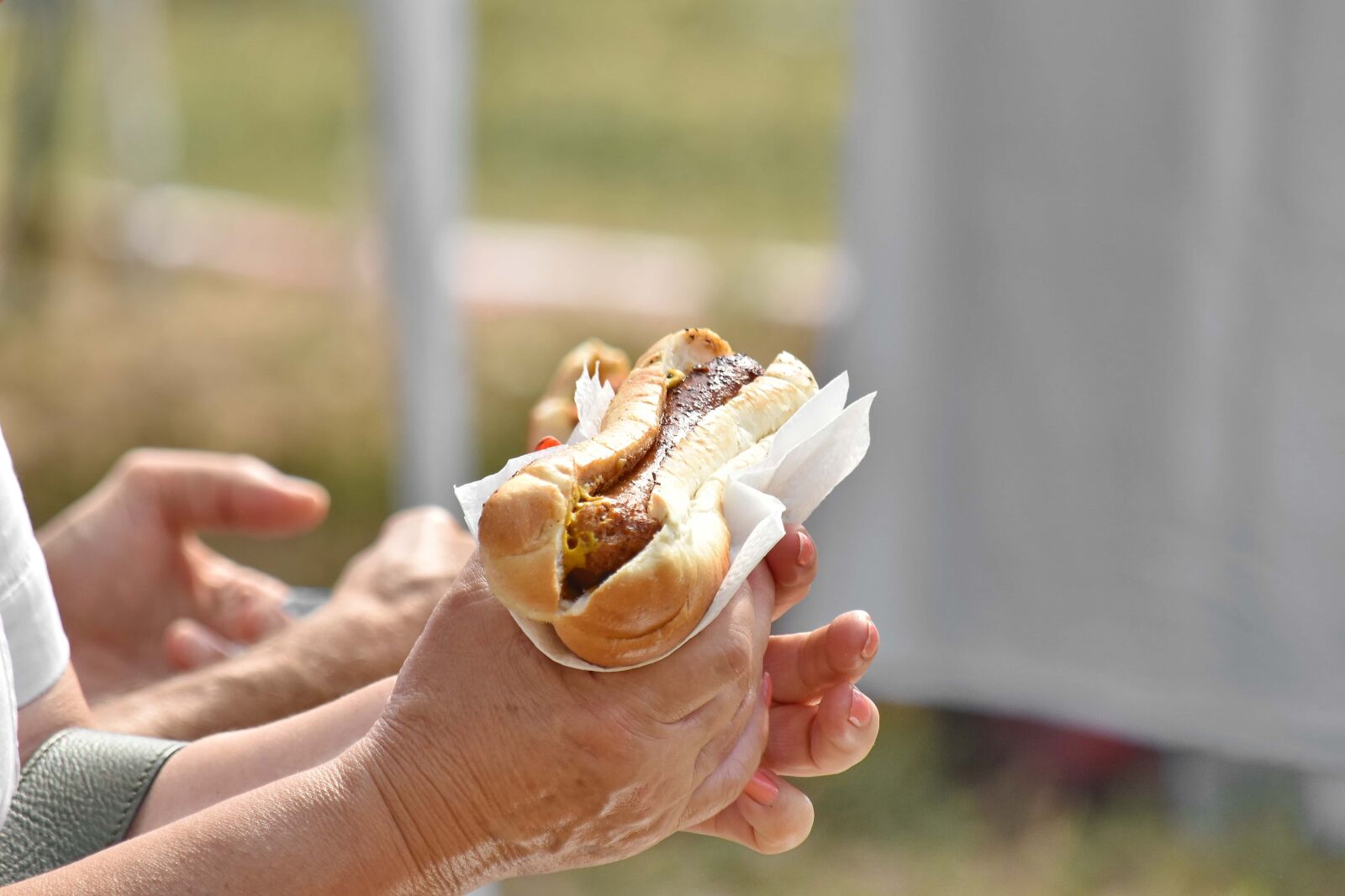 Nikon D5500 sample photo. Fast food, hands, picnic photography
