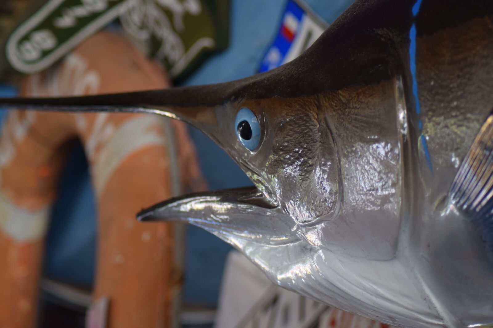Nikon D5300 sample photo. Alabama jacks, florida, miami photography
