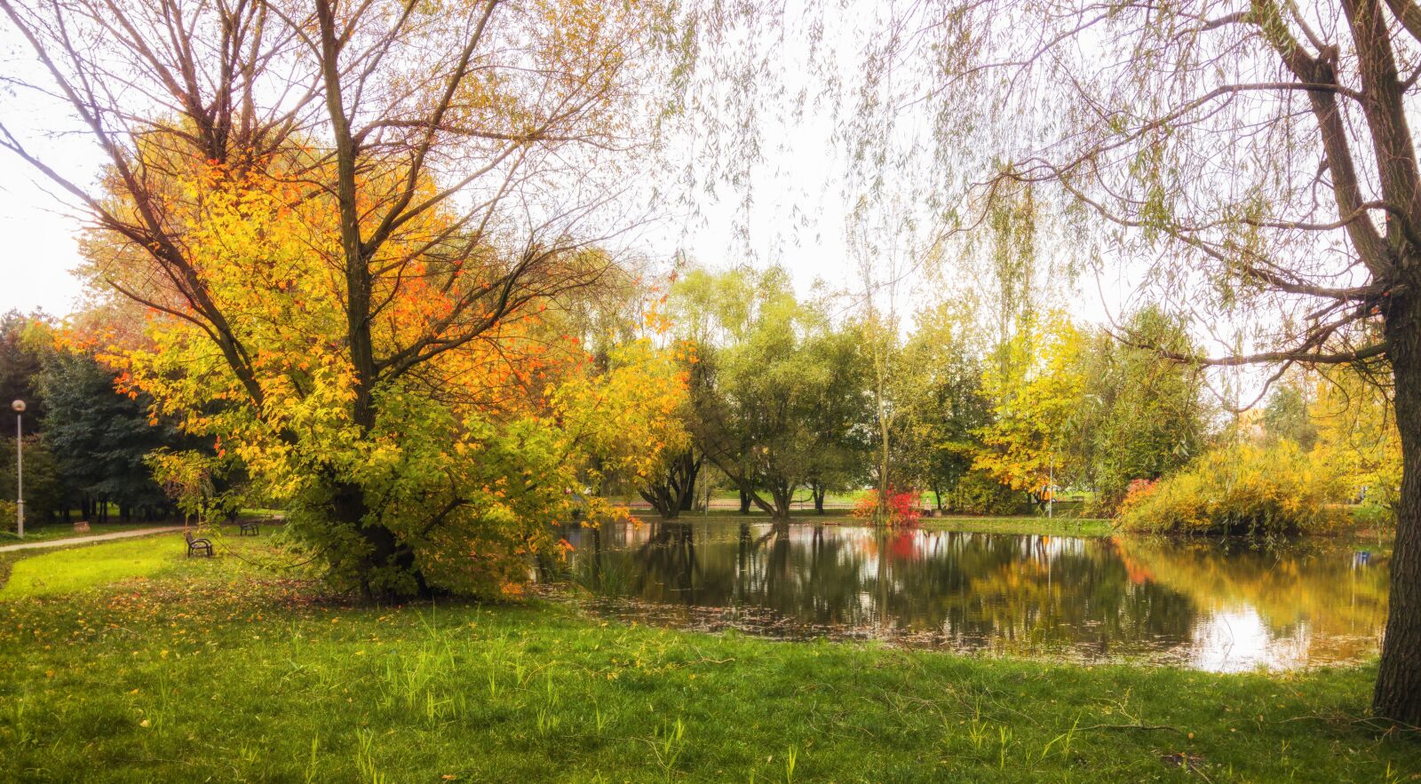 LG G4 sample photo. Autumn, park, autumn gold photography