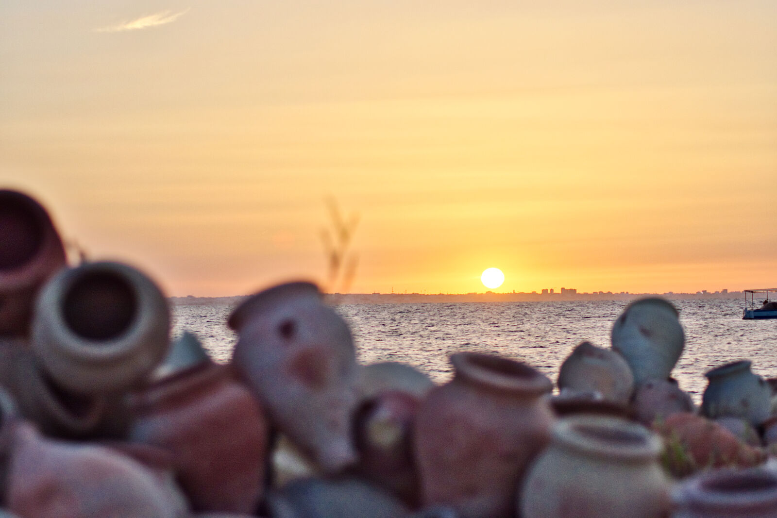 Nikon D5500 sample photo. Fish, stuff, golden, sun photography