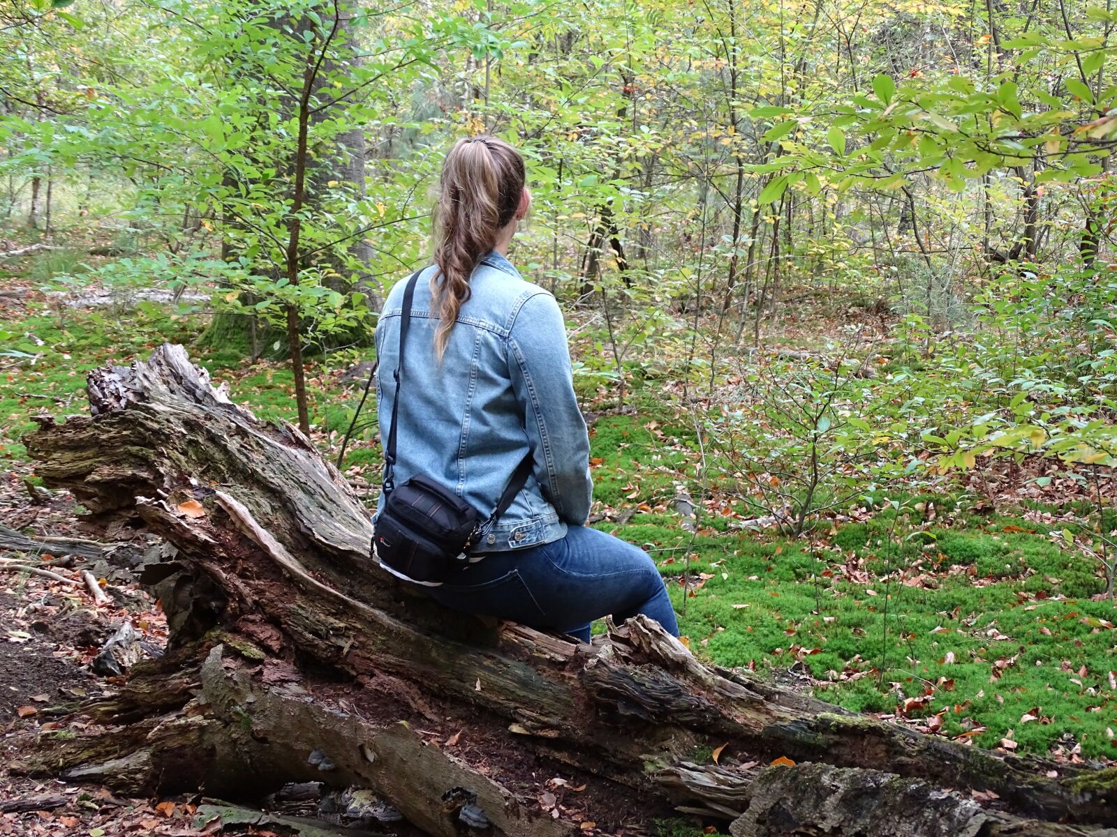 Sony Cyber-shot DSC-HX400V sample photo. Girl, sit, hiking photography