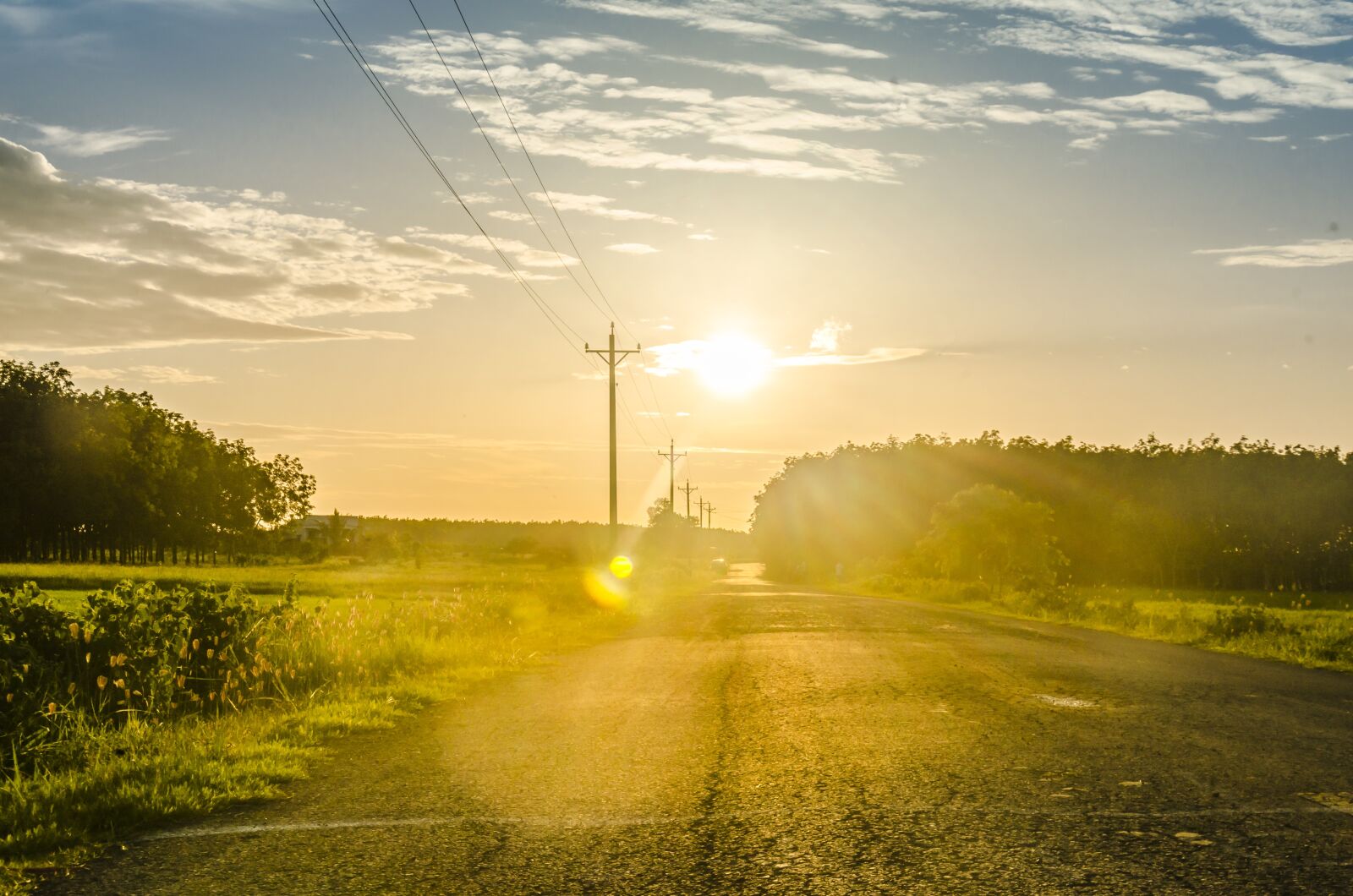 Nikon D5100 sample photo. Road, sunset, light photography