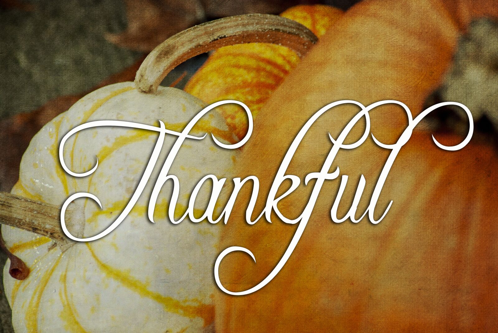 Nikon D80 sample photo. Thanksgiving, fall, pumpkin photography