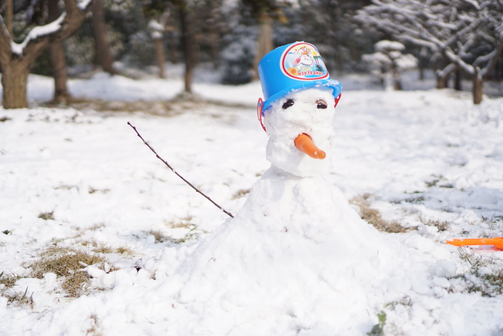 Sony a6000 + Sony E 35mm F1.8 OSS sample photo. Snowman, winter, plum mountain photography