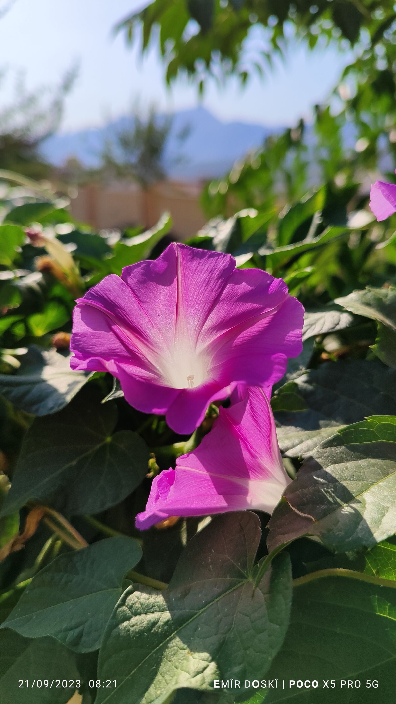 Xiaomi 22101320G sample photo. K l lk n photography