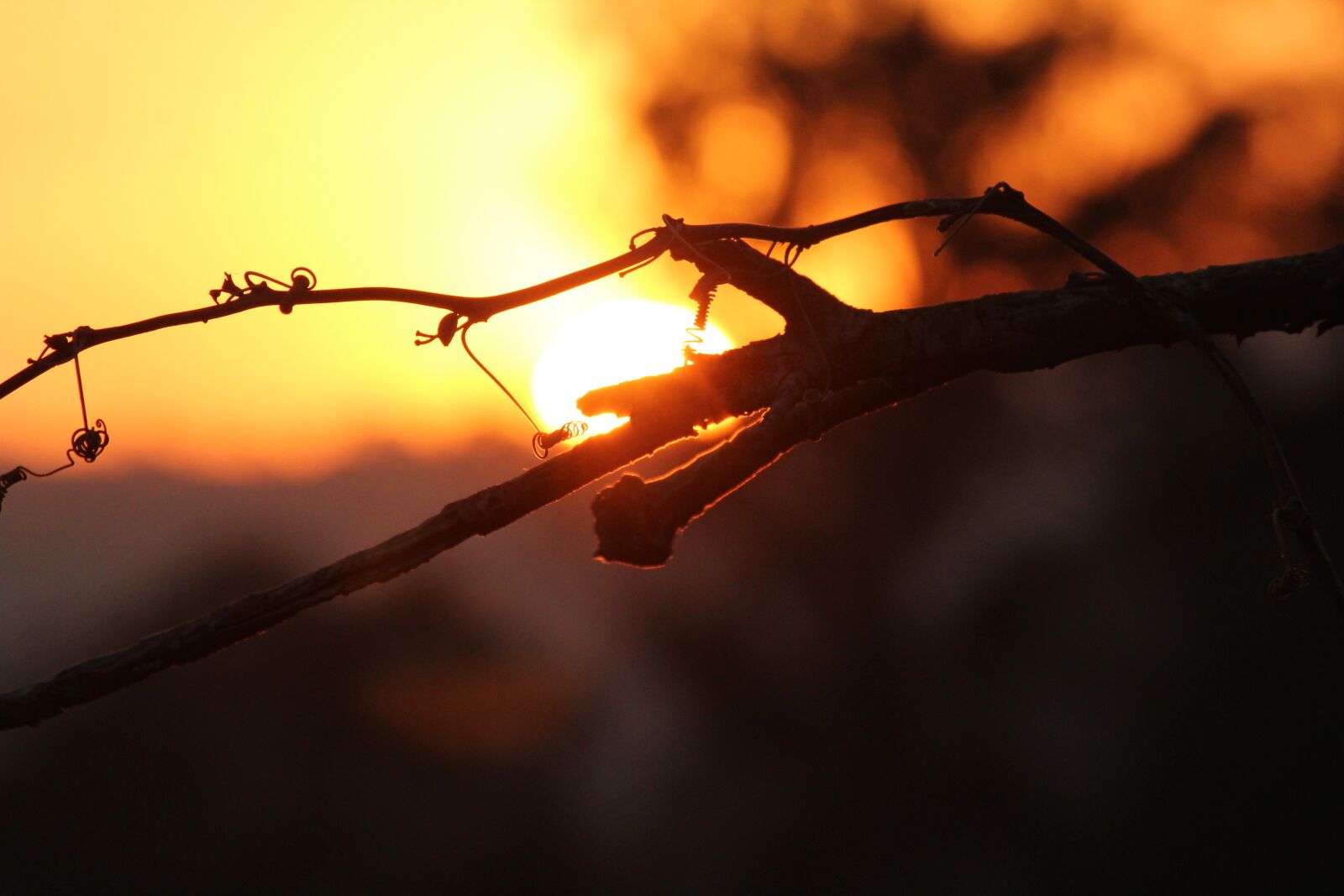 Canon EOS 1300D (EOS Rebel T6 / EOS Kiss X80) sample photo. Dusk, sky, sunset photography