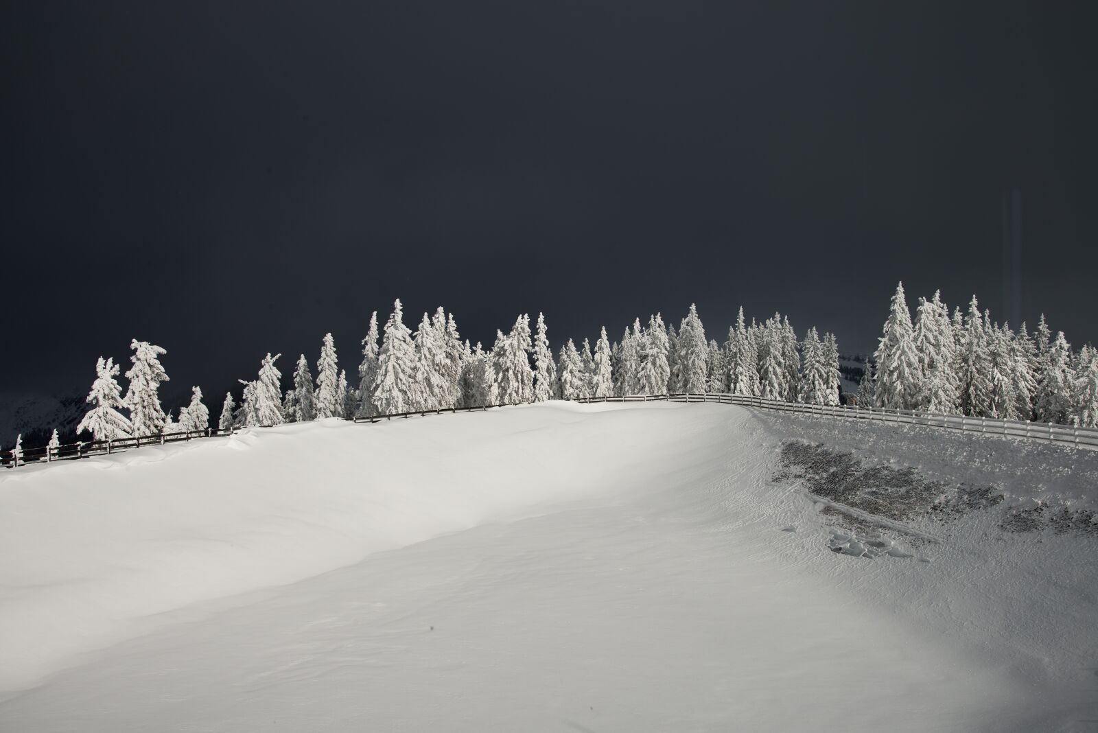 Nikon D800 sample photo. Winter, snow, nature photography
