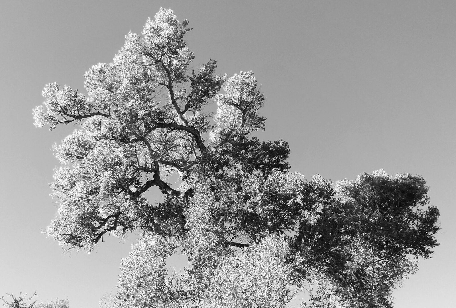 Samsung Galaxy S4 sample photo