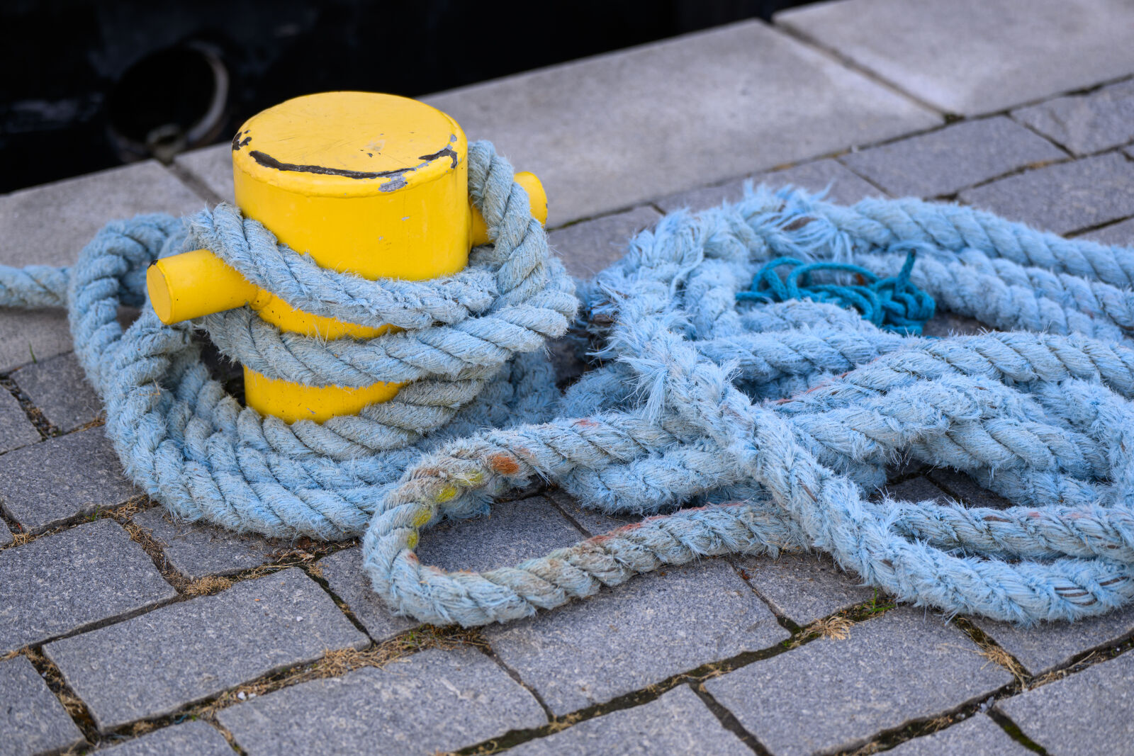 Nikon Z8 sample photo. Harbor rope photography