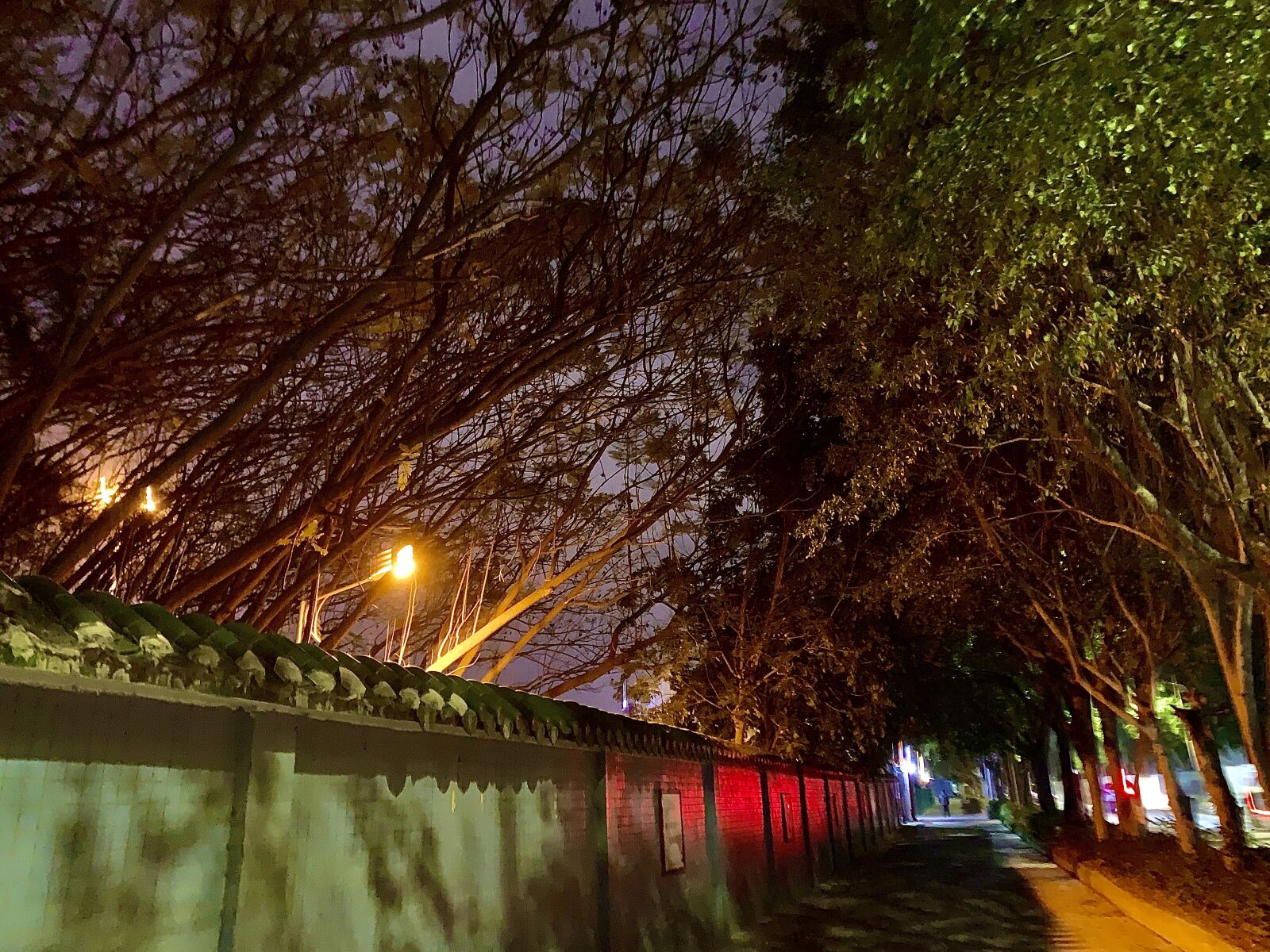 iPhone XS Max back dual camera 4.25mm f/1.8 sample photo. 夜晚, 小路, 树 photography