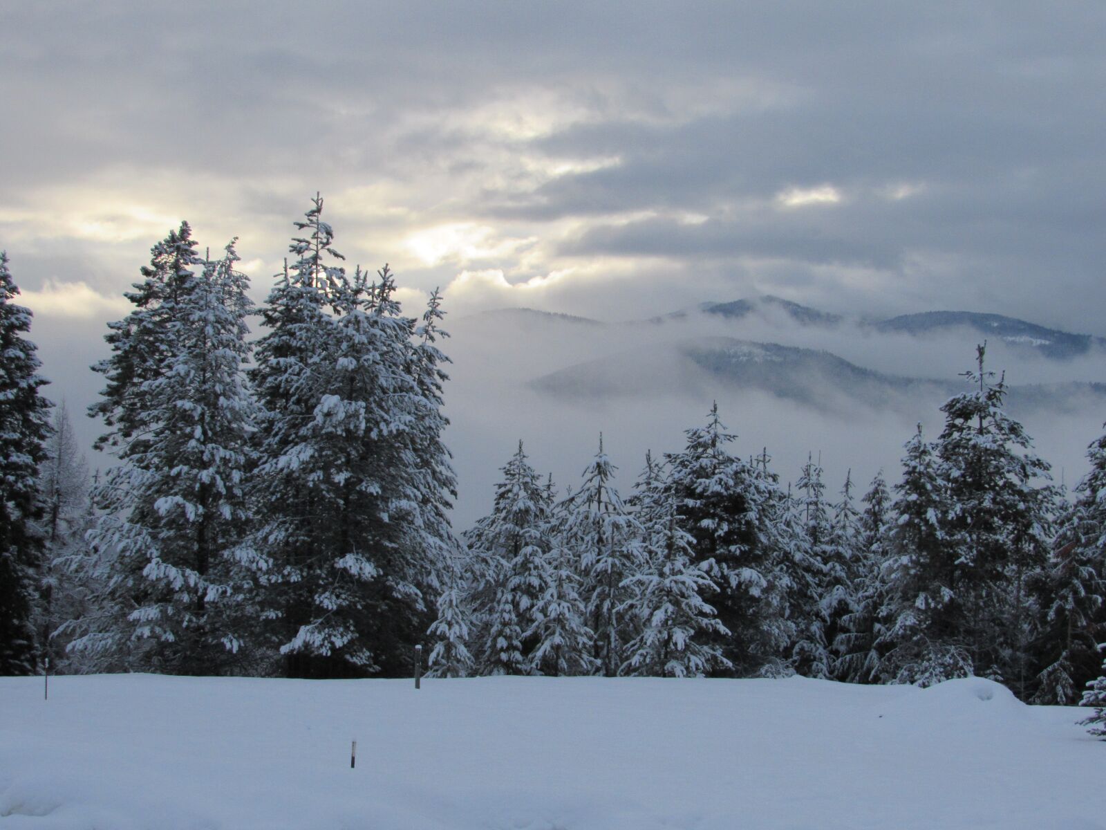Canon PowerShot SX520 HS sample photo. Snow, winter, cold photography