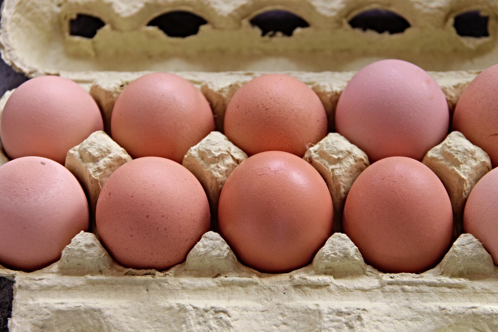 Canon EOS 1100D (EOS Rebel T3 / EOS Kiss X50) sample photo. Egg, box, brown photography
