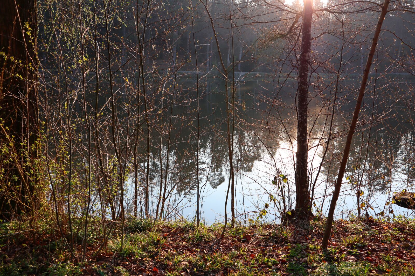 Canon EOS M50 (EOS Kiss M) sample photo. Sunrise, morning sun, lake photography
