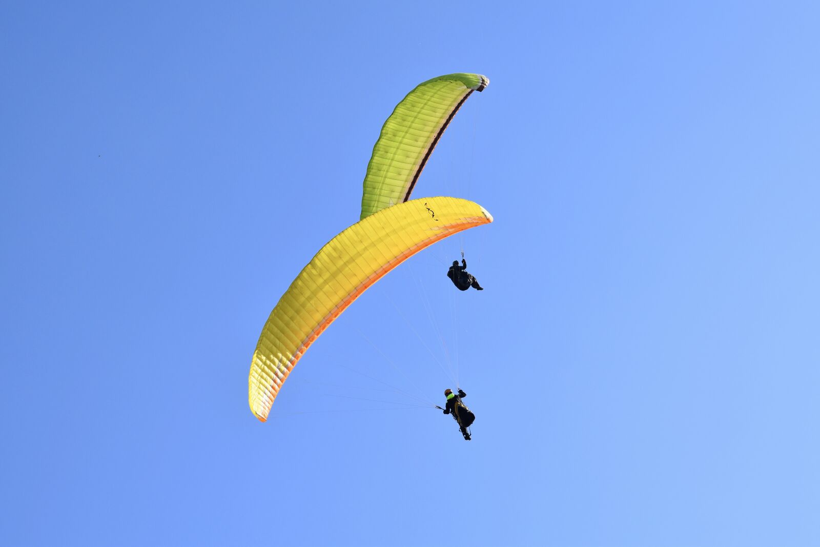 Nikon D5600 sample photo. Paragliding, paraglider, sails of photography