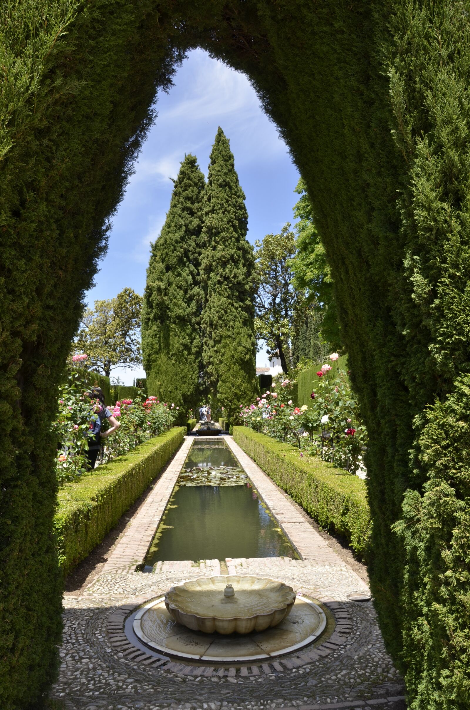 Nikon D7000 sample photo. Alhambra, garden, basin photography