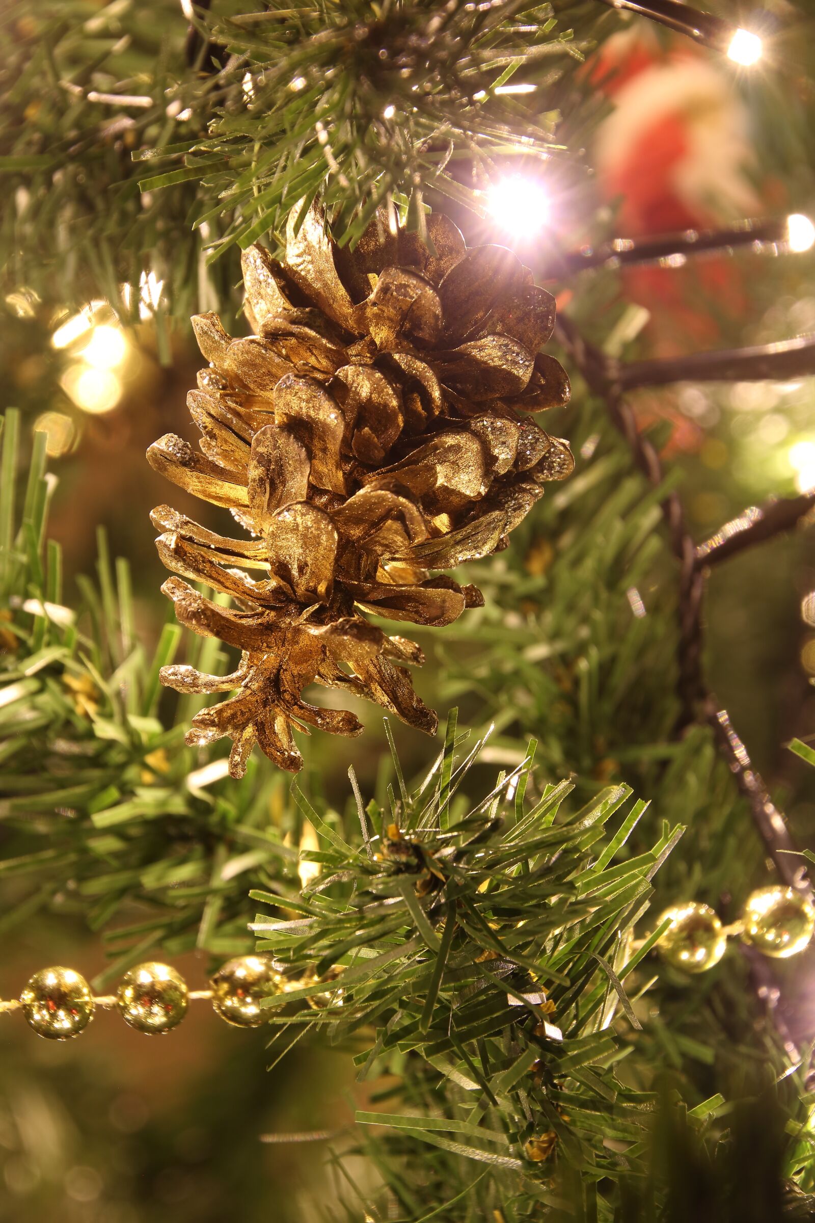 Canon EOS 750D (EOS Rebel T6i / EOS Kiss X8i) sample photo. Christmas, pine cones, decoration photography