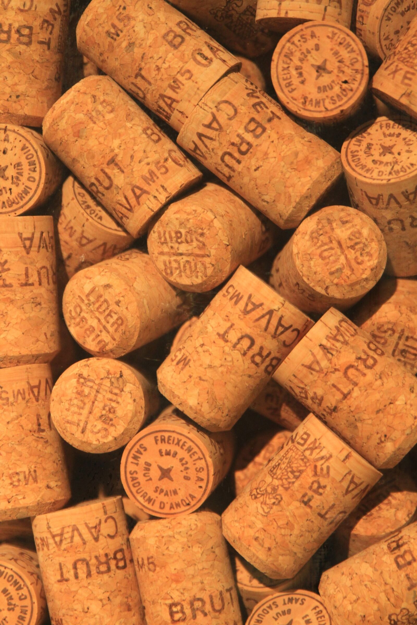 Canon EOS 7D sample photo. Winemaking, traffic jams, kava photography