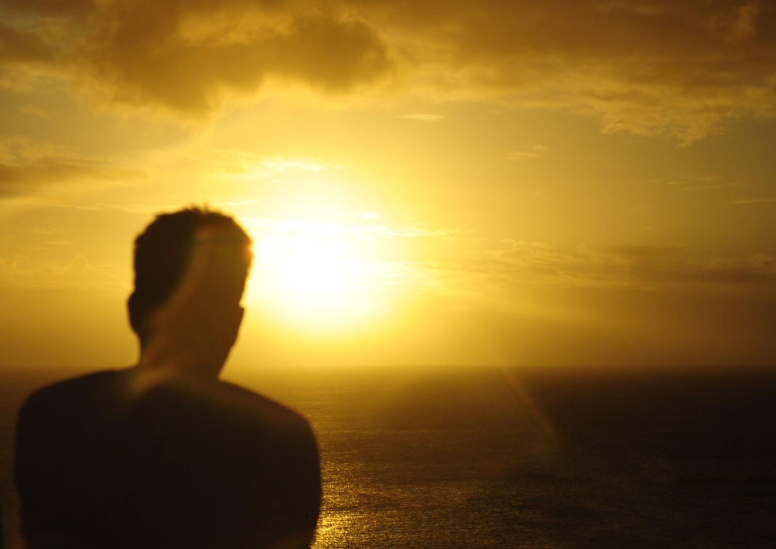 Nikon D5000 sample photo. Fernando, of, noronha photography