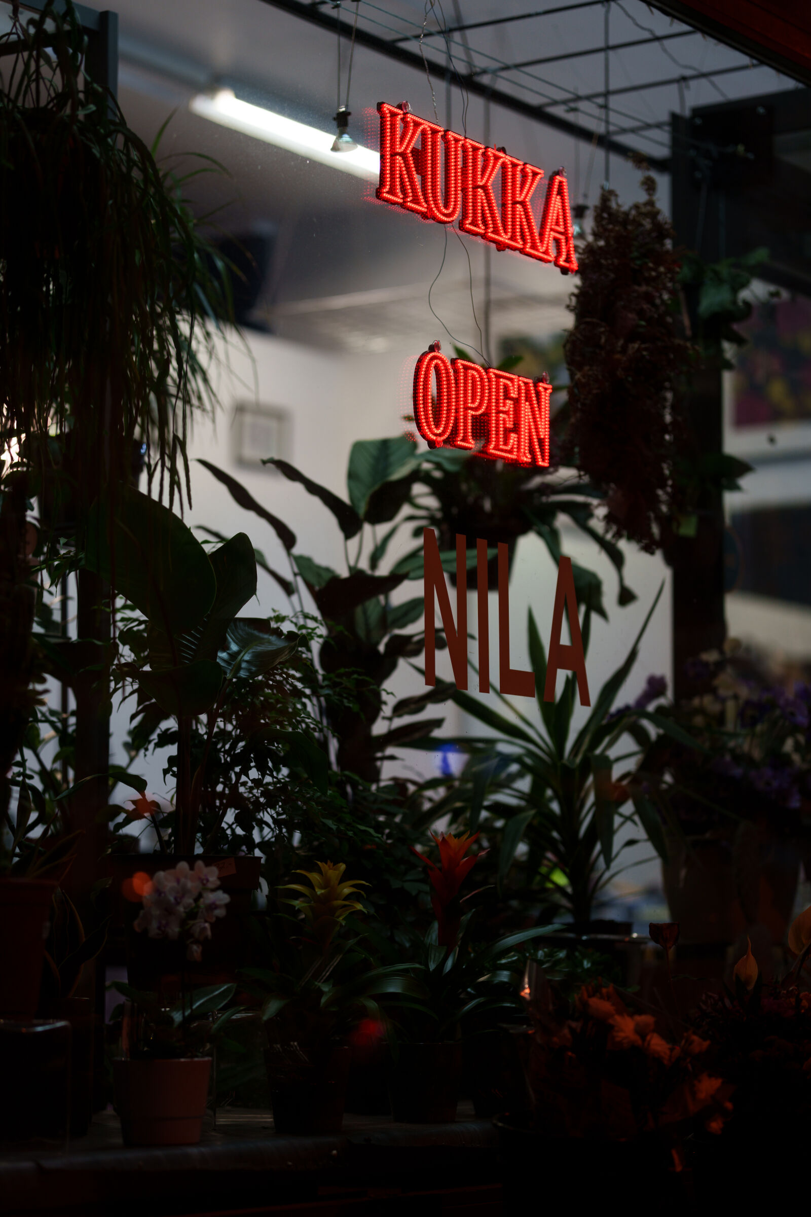 Sony FE 85mm F1.4 GM II sample photo. Flowershop bar? photography