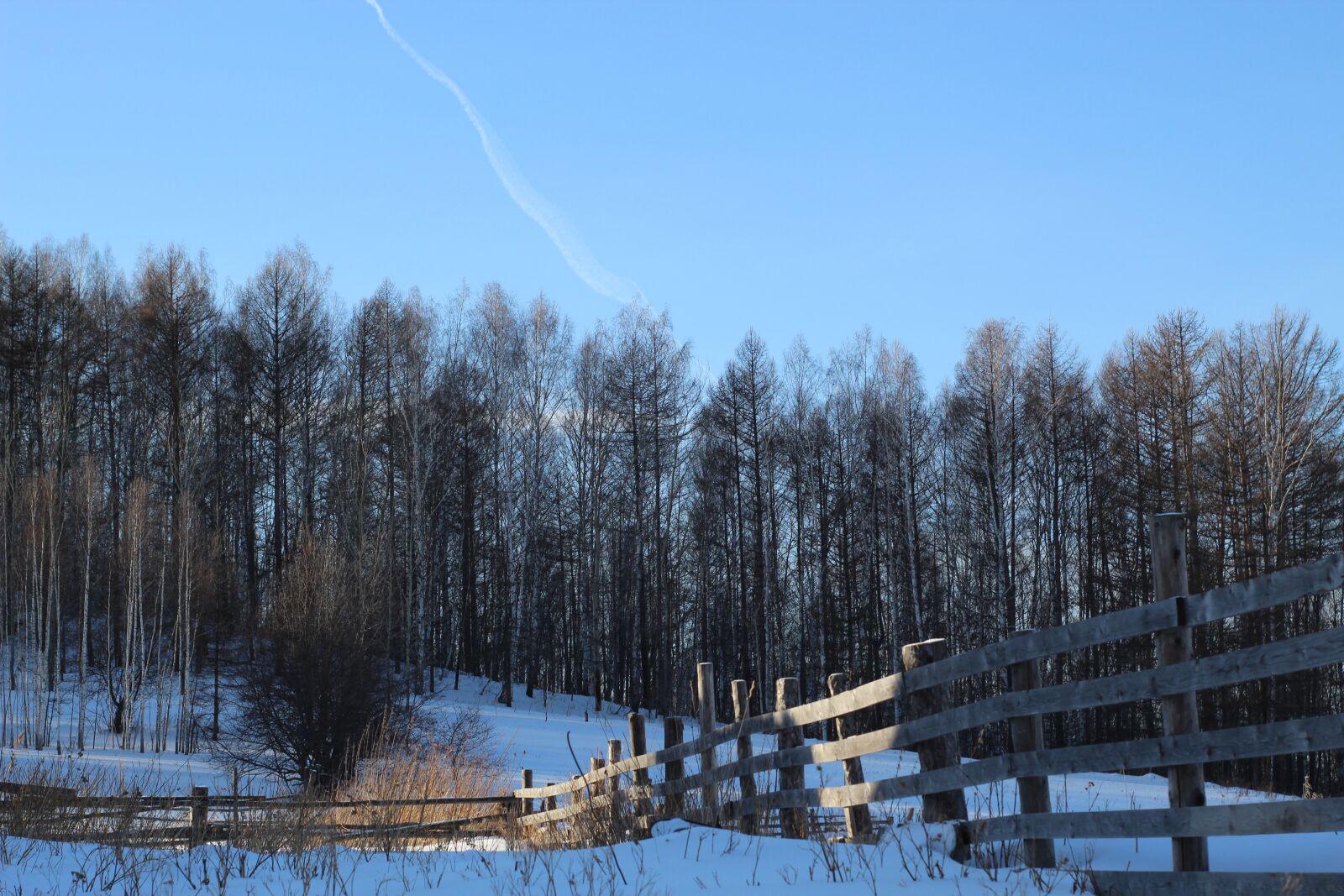 Canon EOS 4000D (EOS Rebel T100 / EOS 3000D) sample photo. Landscape, nature, instagram photography