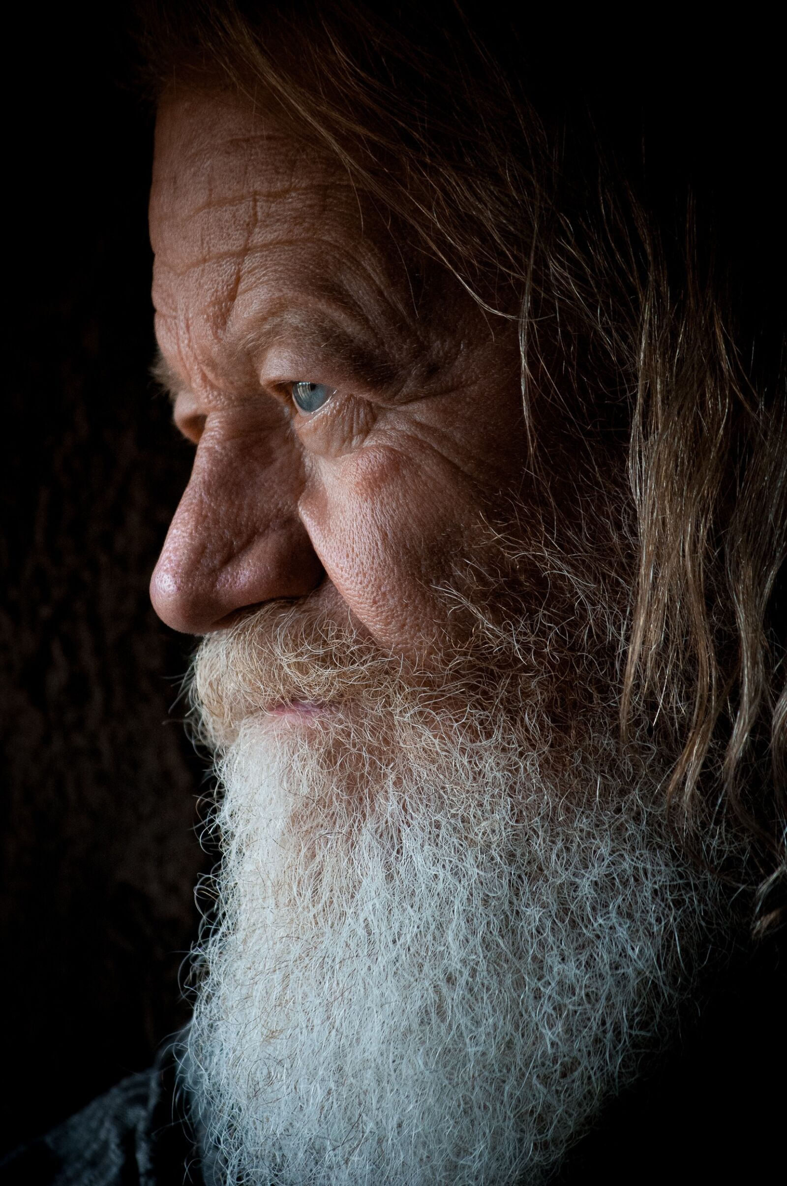 Nikon D300S sample photo. Beard, close-up, elderly photography