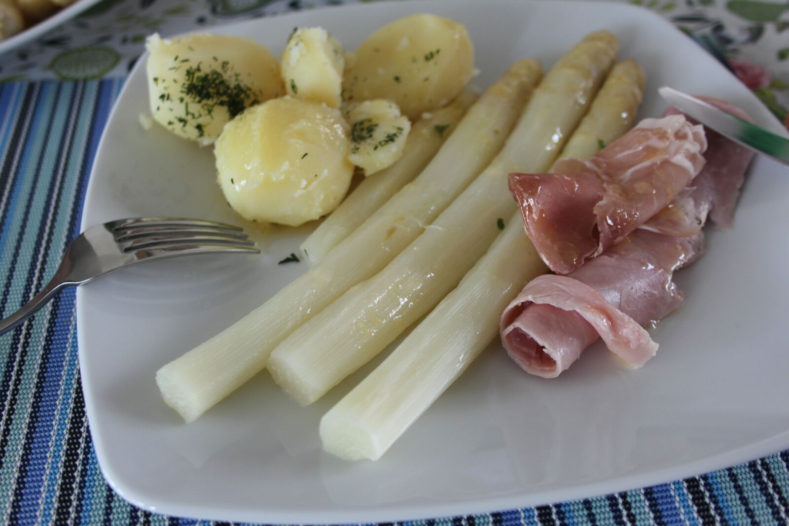 Canon EOS 500D (EOS Rebel T1i / EOS Kiss X3) sample photo. Eating, asparagus, spring photography