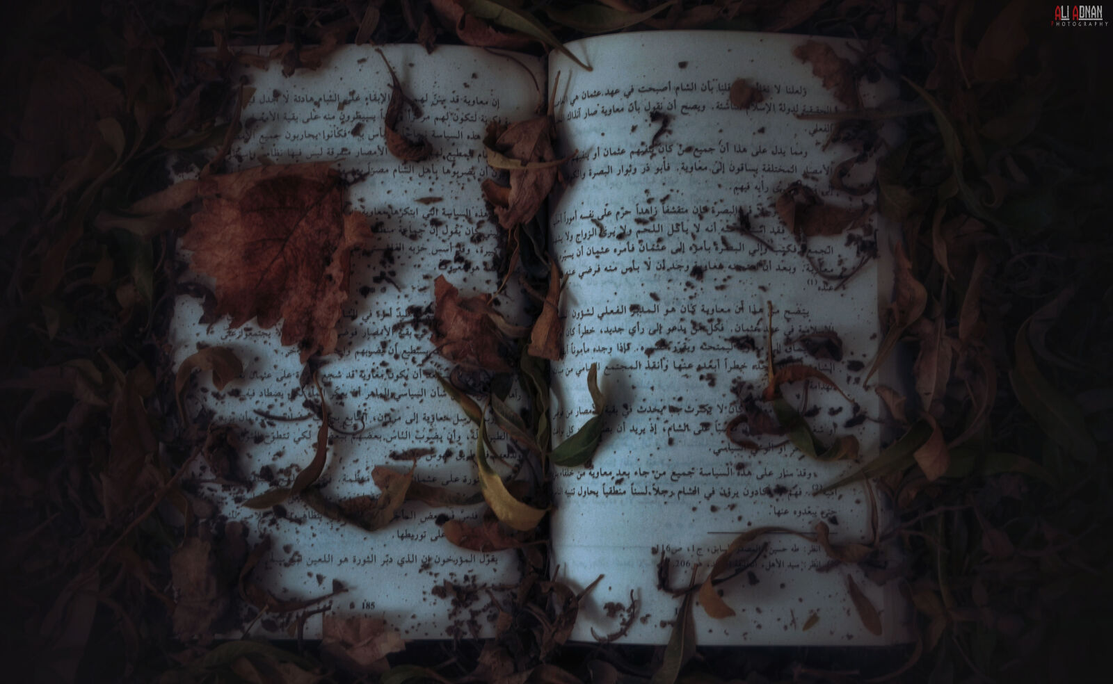 Nikon D7000 sample photo. Book photography