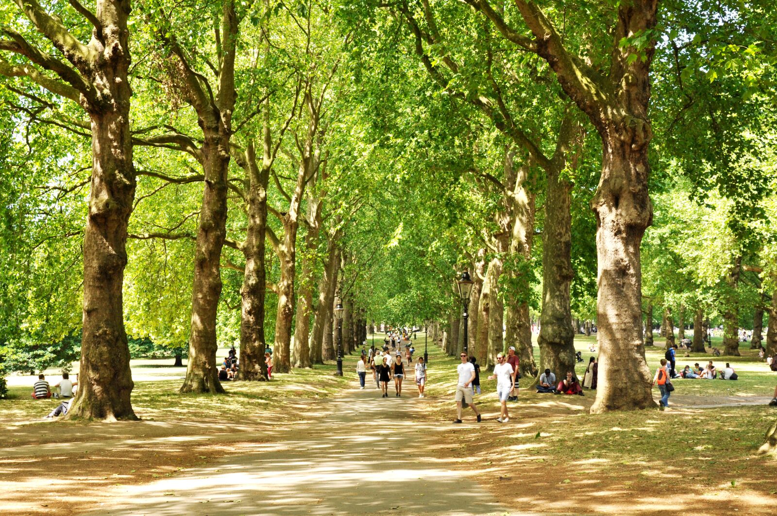 Nikon D90 sample photo. Green park, london, uk photography