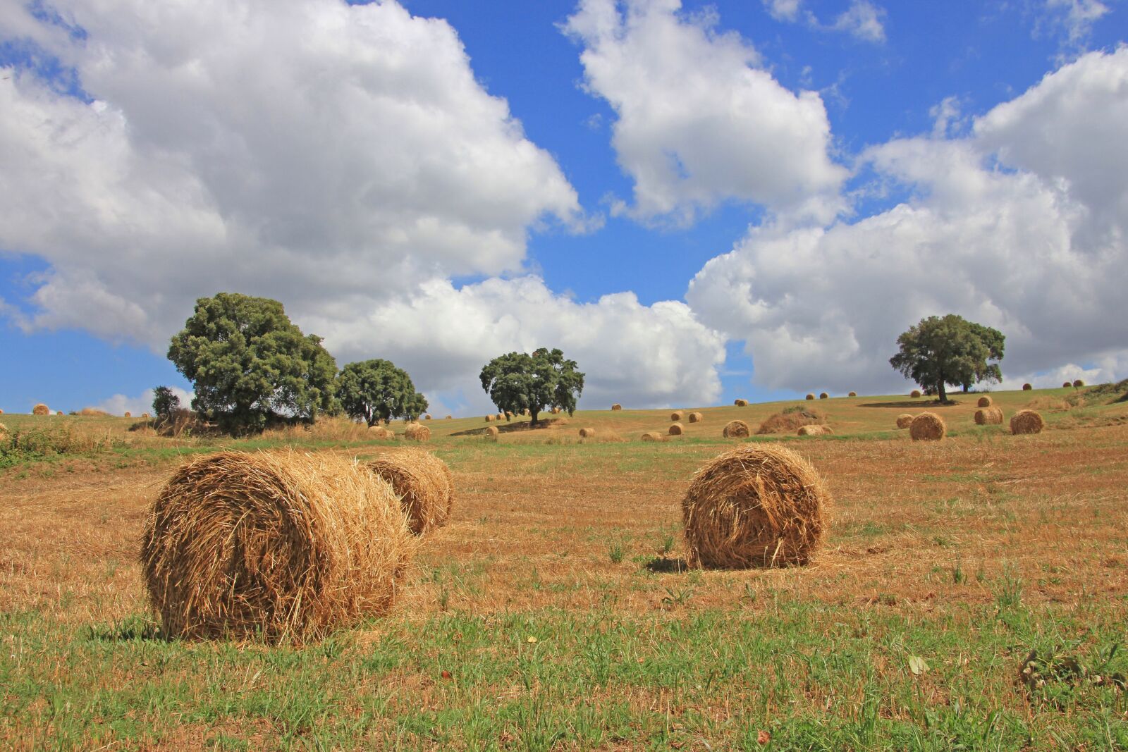 Canon EOS 60D sample photo. Tuscany, sky, vacations photography
