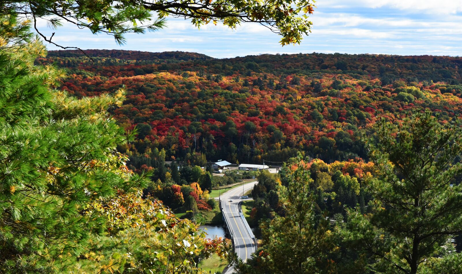 Nikon D7200 sample photo. Maple, the scenery, canada photography