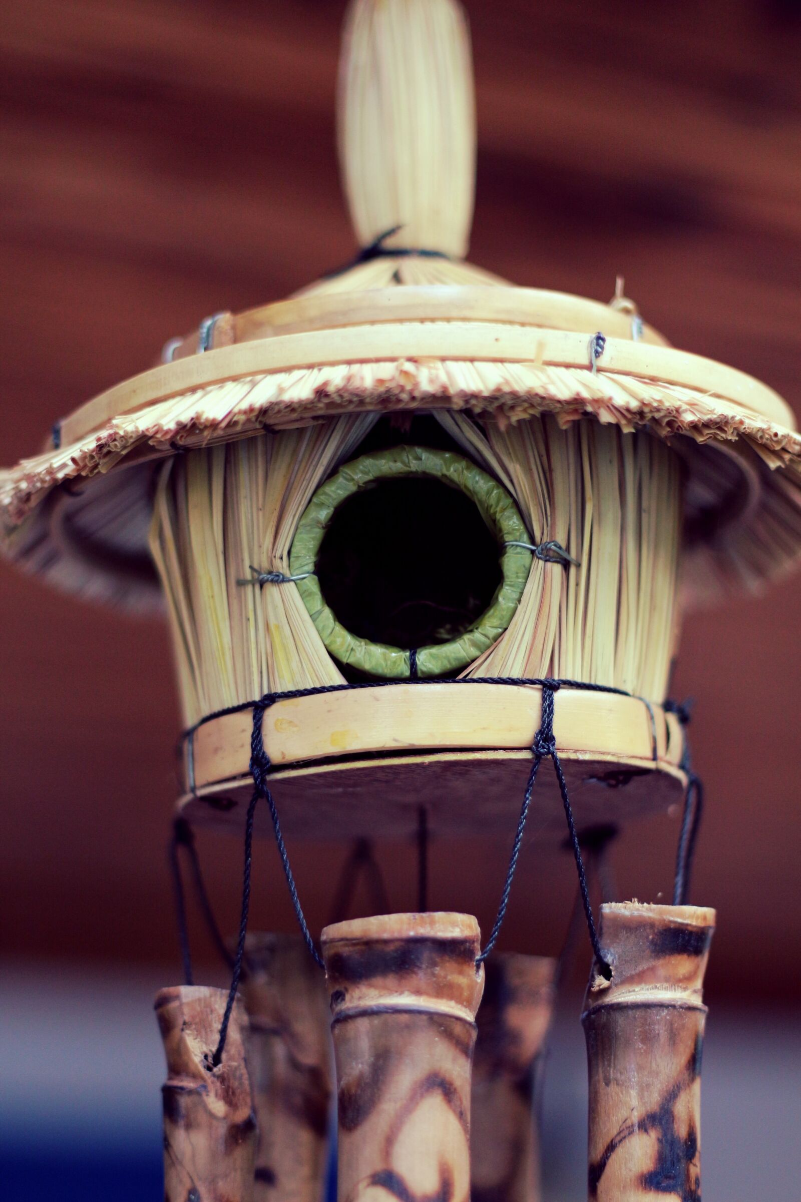 Canon EOS 650D (EOS Rebel T4i / EOS Kiss X6i) + Canon EF 50mm F1.8 II sample photo. Bird, socket, natural photography