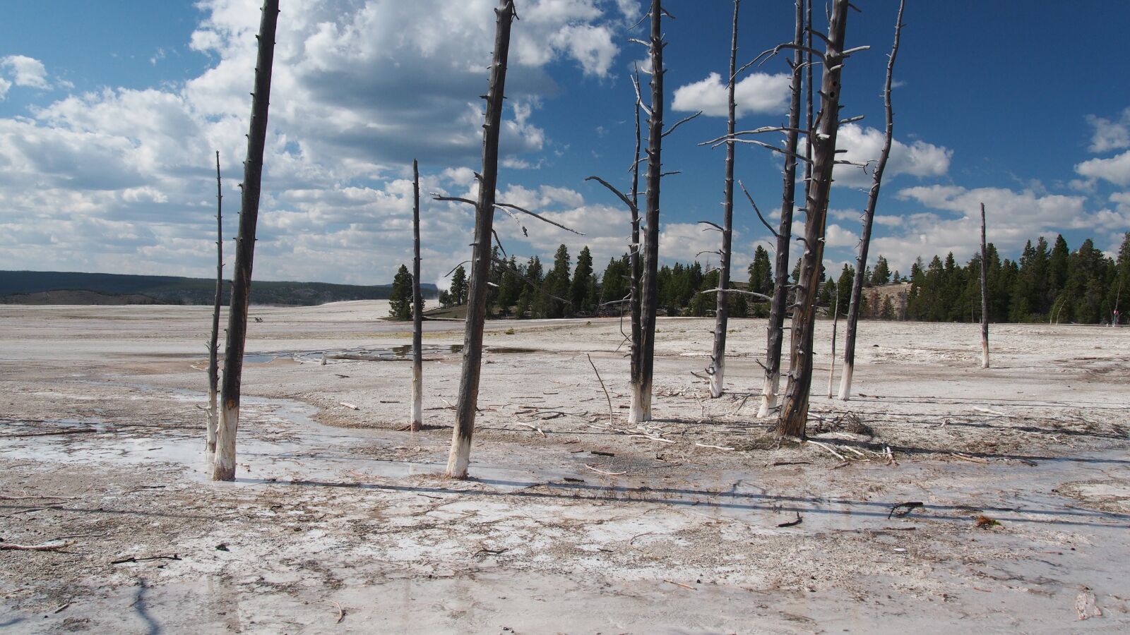 Olympus PEN E-PL5 sample photo. Yellowstone, national, park photography