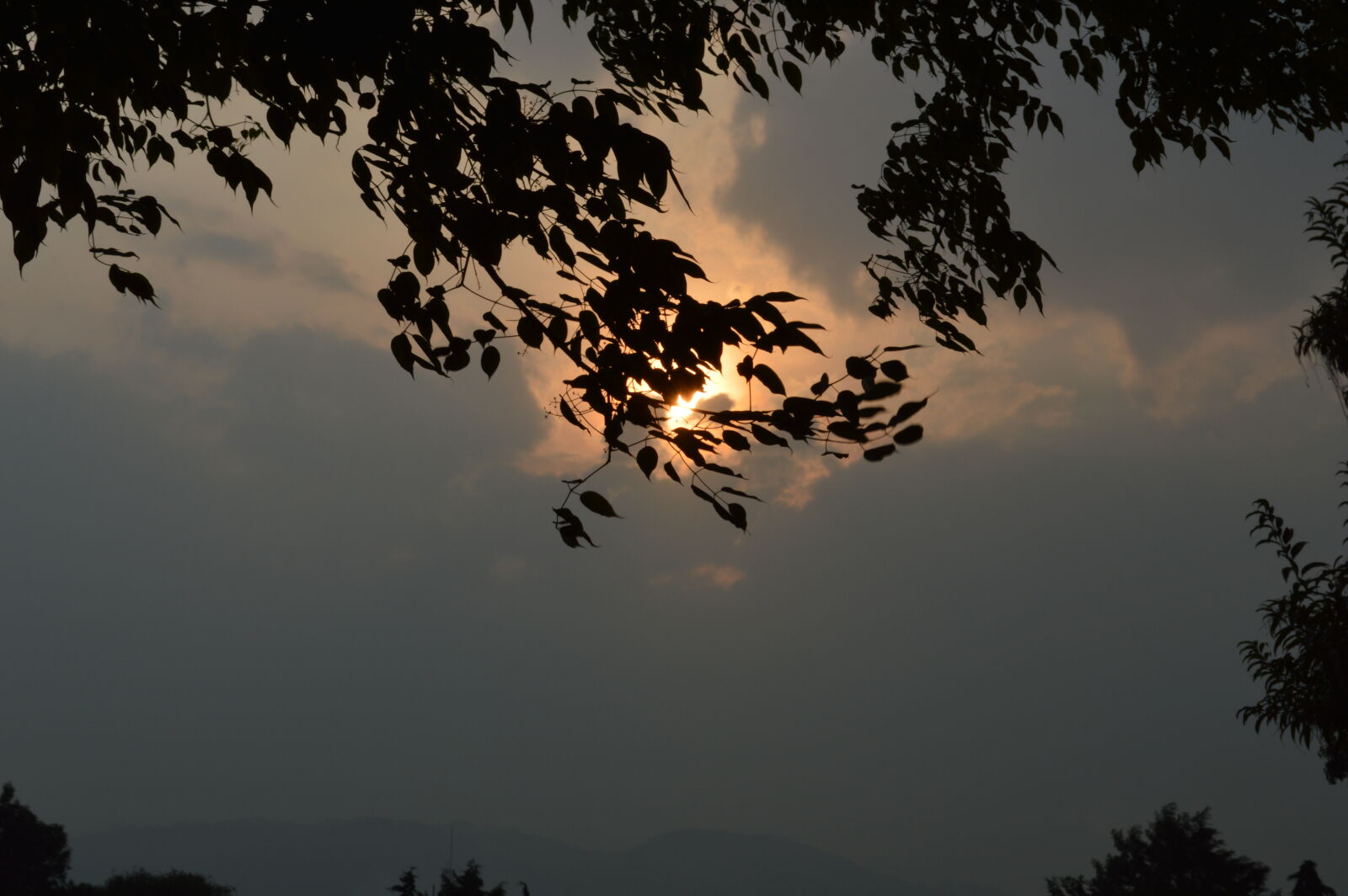 Nikon D3200 sample photo