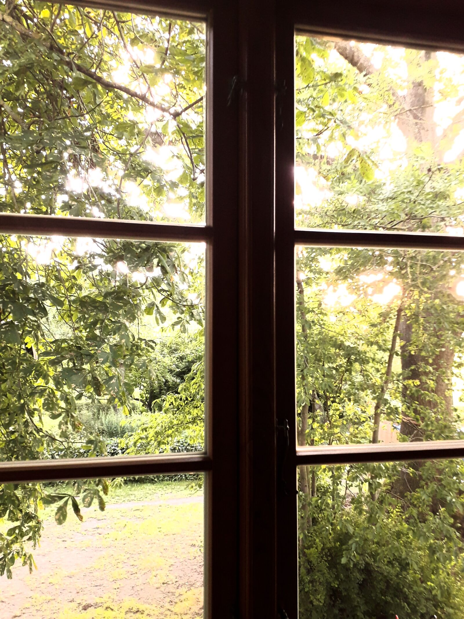Samsung SM-J330F sample photo. Evening sun, window, chestnut photography