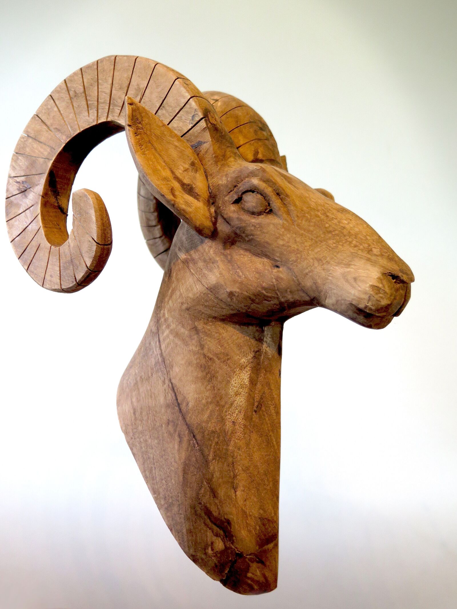 Canon PowerShot G16 sample photo. Capricorn, wood, artists photography